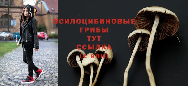 apvp Болотное