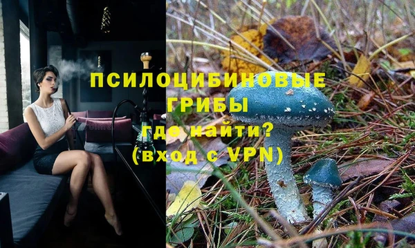 дмт Армянск