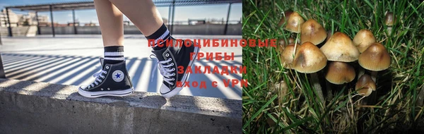 ешки Аркадак