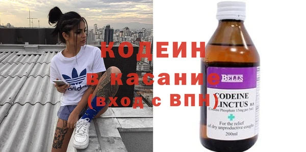 ешки Аркадак