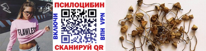 Галлюциногенные грибы прущие грибы  Тырныауз 